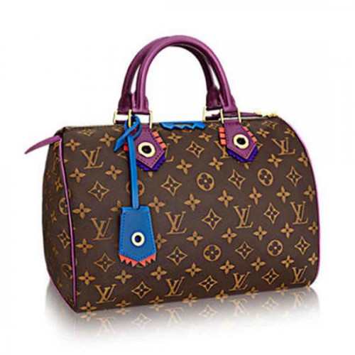 Louis Vuitton M41666 Speedy 30 Totem Tote Bag Monogram Canvas